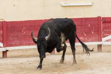 Mathis JOUSSET - MJ Community