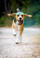 STEPHANIE JAMONT - LEMI PHOTO