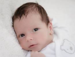 STEPHANIE JAMONT - LEMI PHOTO