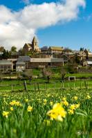 Guillain BOUQUET - GUILLAIN BOUQUET