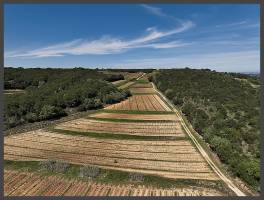 Laurent SERGEANT - Drone inspir